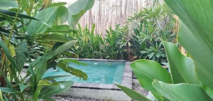 Villa Klotok Surf Shack Klungkung Esterno foto